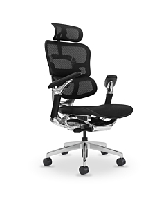 The Halo Executive Ergonomic Chair